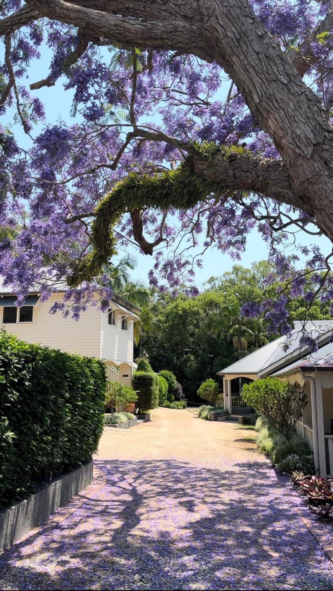 Bangalow Guesthouse Exterior photo