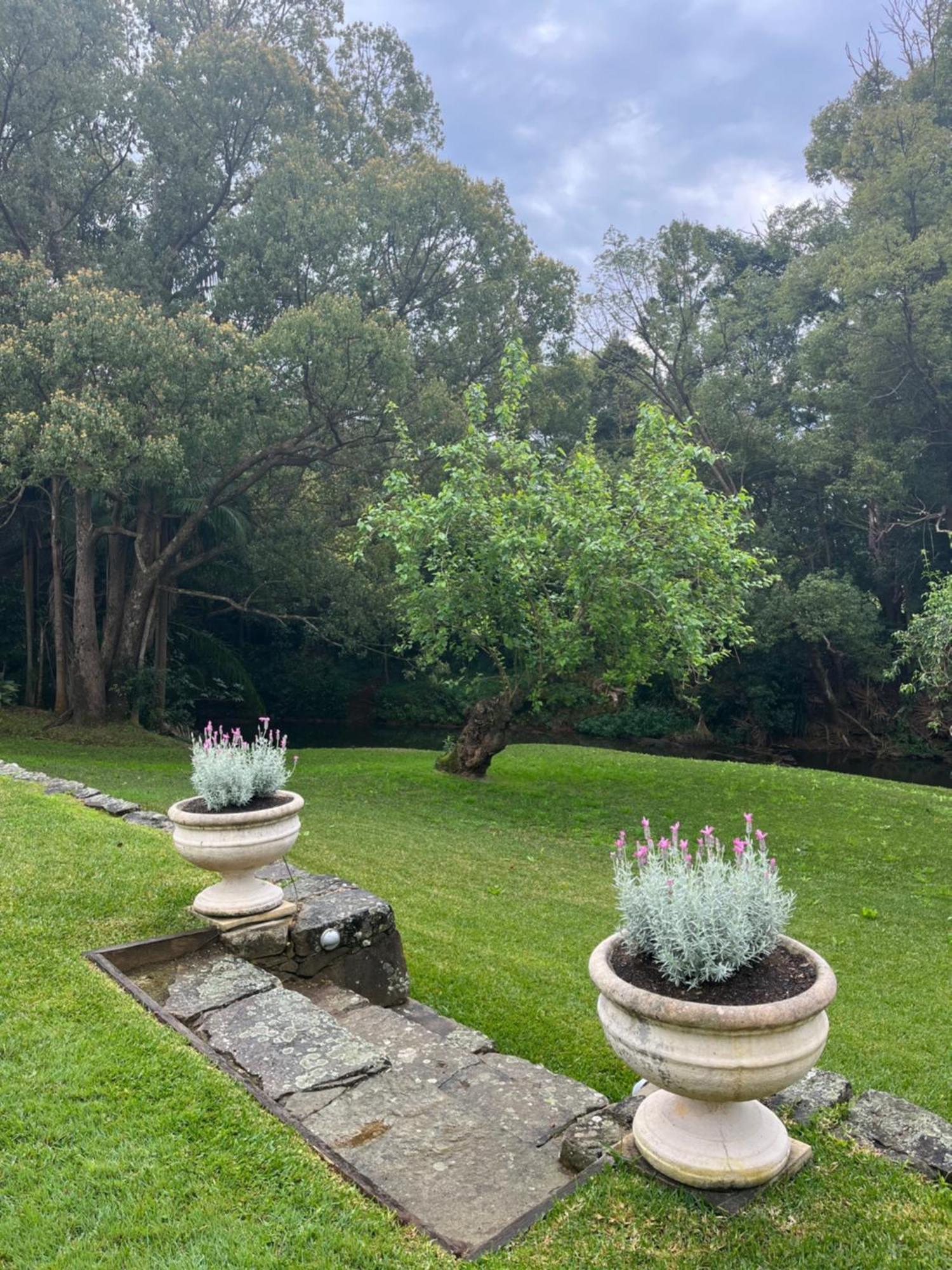 Bangalow Guesthouse Exterior photo