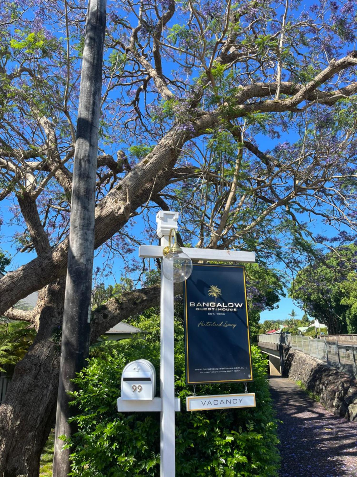 Bangalow Guesthouse Exterior photo